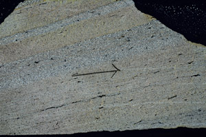 Cross Polarized, S90381