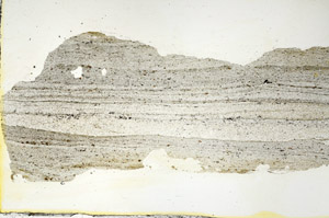 Plane Polarized, S90387