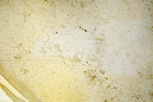Plane Polarized, S90388
