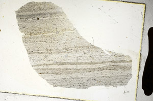 Plane Polarized, S90389