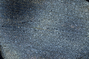 Cross Polarized, S90391