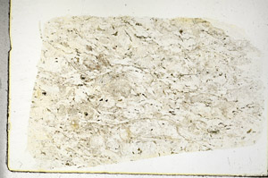 Plane Polarized, S90393