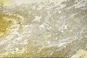 Plane Polarized, S90396