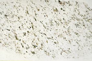 Plane Polarized, S90407