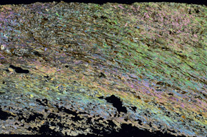 Cross Polarized, S90410