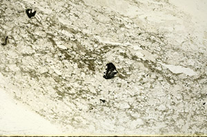 Plane Polarized, S90413