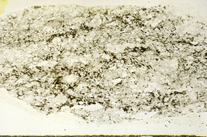 Plane Polarized, S90415