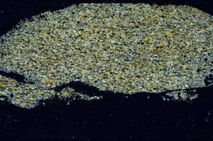 Cross Polarized, S90424