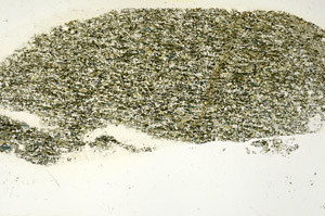 Plane Polarized, S90424