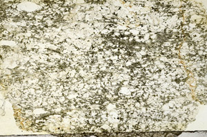 Plane Polarized, S90429