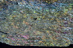 Cross Polarized, S90458