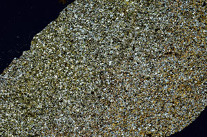Cross Polarized, S90460