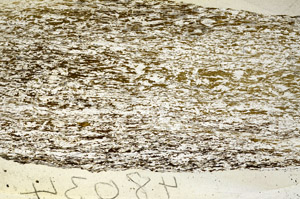 Plane Polarized, S90466