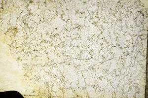 Plane Polarized, S90467