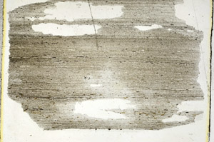 Plane Polarized, S90480