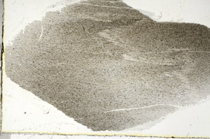 Plane Polarized, S90481