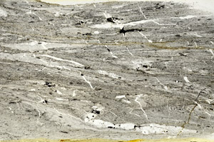 Plane Polarized, S90485