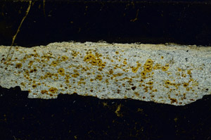 Cross Polarized, S90489