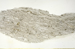 Plane Polarized, S90494
