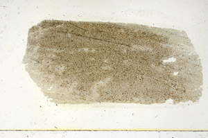 Plane Polarized, S90501
