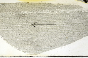 Plane Polarized, S90505