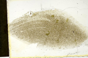 Plane Polarized, S90522