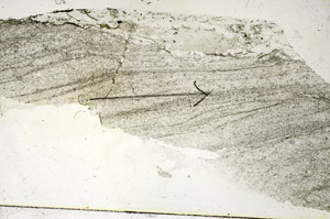Plane Polarized, S90536
