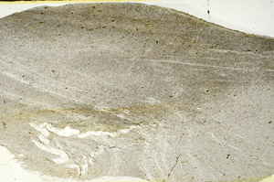Plane Polarized, S90539