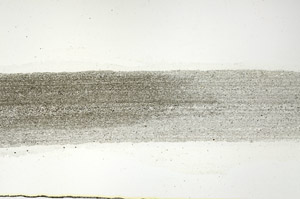 Plane Polarized, S90543