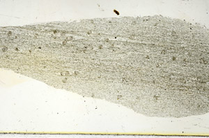 Plane Polarized, S90547