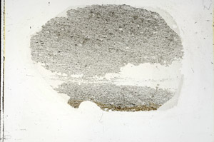 Plane Polarized, S90548