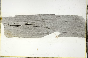 Plane Polarized, S90550