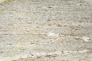 Plane Polarized, S90552