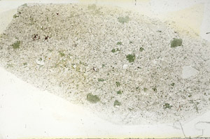 Plane Polarized, S90554