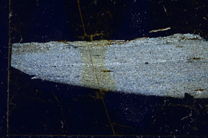 Cross Polarized, S90555