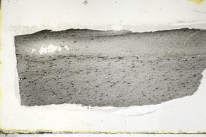 Plane Polarized, S90561
