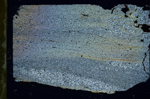 Cross Polarized, S90564