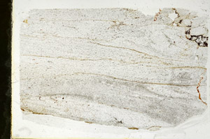 Plane Polarized, S90564