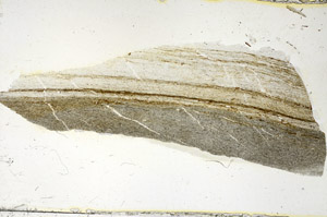 Plane Polarized, S90565