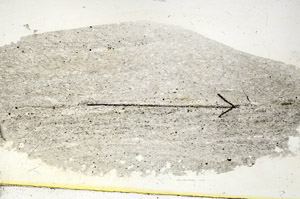 Plane Polarized, S90566