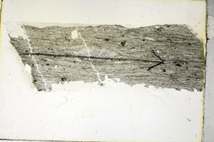 Plane Polarized, S90567