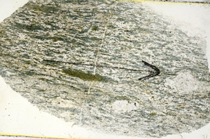 Plane Polarized, S90568