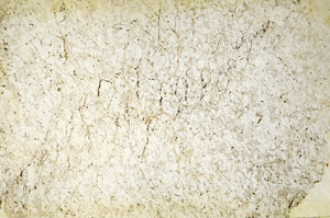 Plane Polarized, S90575