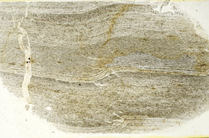 Plane Polarized, S90576