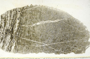 Plane Polarized, S90578