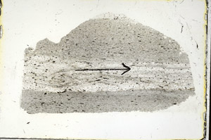 Plane Polarized, S90583