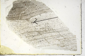 Plane Polarized, S90584