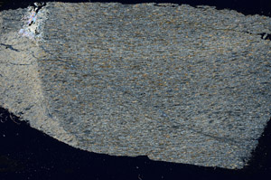 Cross Polarized, S90585