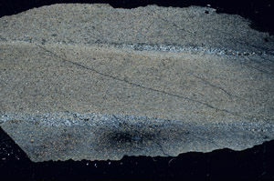 Cross Polarized, S90588