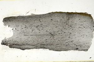 Plane Polarized, S90589